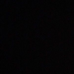 Meet your Posher, Tanner